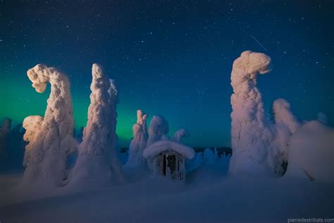 Sentinels Of A Northern Sky In Finnish Lapland National Geographic