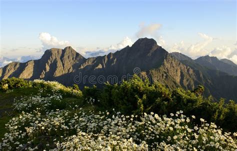 Mountain Scenery In Summer Stock Image Image Of Outdoor 98000147