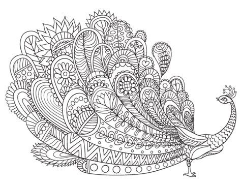 See more ideas about peacock coloring pages, coloring pages, coloring books. Peacock Adult Coloring Page
