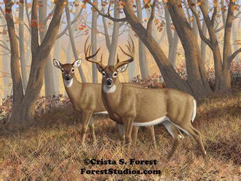 Forest Wildlife Art Deer Art Digital Paintings