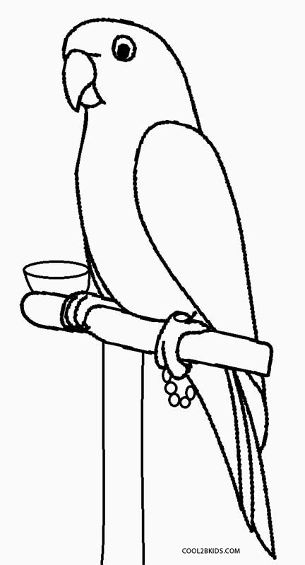 Printable Parrot Coloring Pages For Kids Cool2bkids