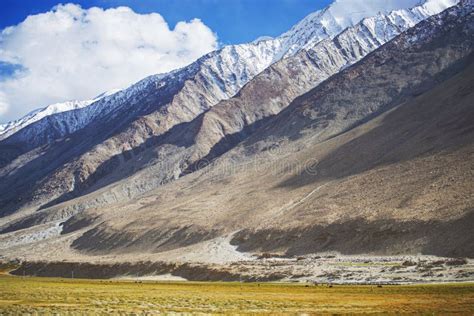 Meadows And Snow Mountain Range Ladakh India Stock Image Image Of