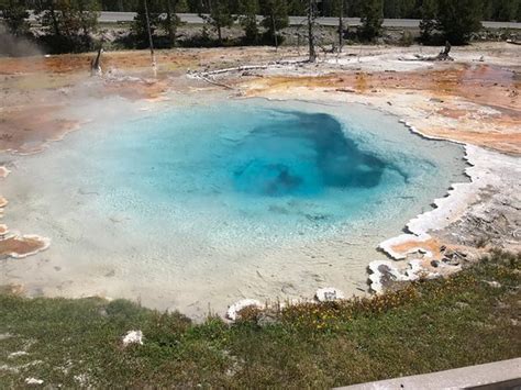 lower geyser basin yellowstone national park 2020 all you need to know before you go with