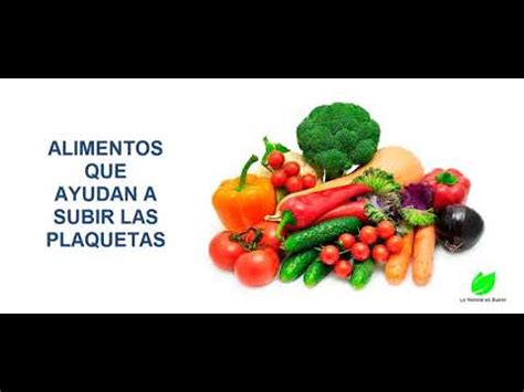 Check spelling or type a new query. ALIMENTOS QUE AYUDAN A SUBIR LAS PLAQUETAS - YouTube