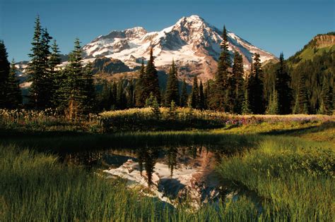 10 Best Hikes At Mount Rainier National Park Seattle Met
