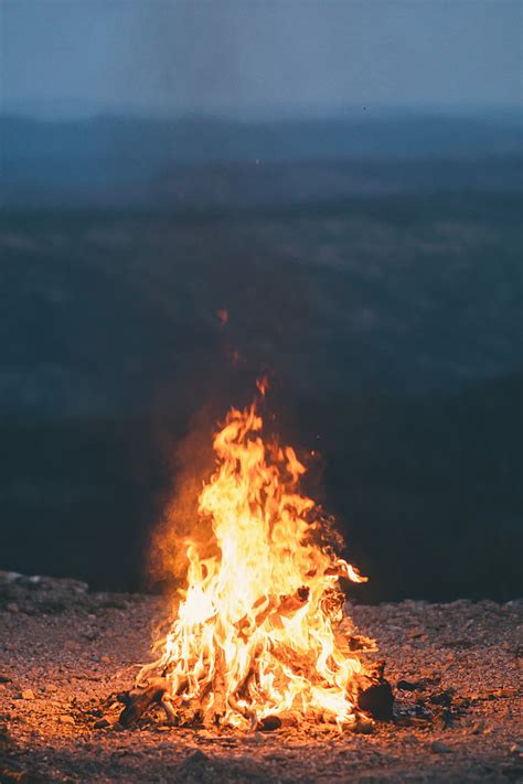 Free Photo Firewoods Fire Daytime Flame Burn Bonfire Campfire