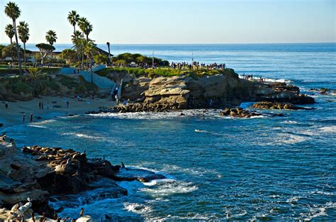 San Diegos Hidden Gem The Rugged Cliffs And Canyons Of La Jolla