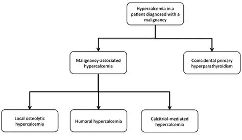 Symptomatic Hypercalcemia In A Patient With B Cell Chronic Lymphocytic