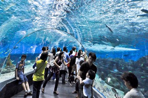Manila Ocean Park Attractions