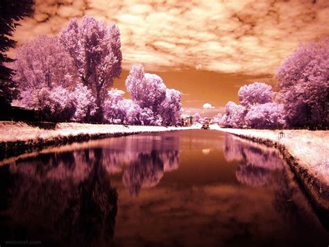 40 Most Beautiful Infrared Photography Examples For Your Inspiration