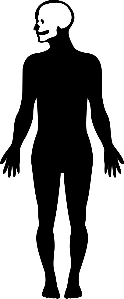 Download 407 X 981 1 0 Human Body Silhouette Clipart 4100170