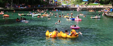 Wekiwa Springs Everything You Need To Know To Plan Your Visit The