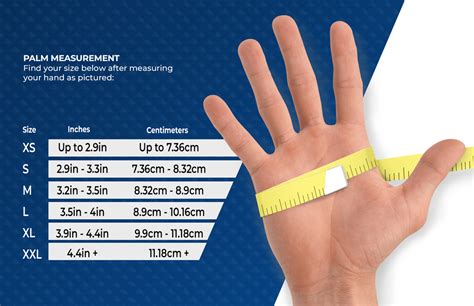 Glove Size Chart Ammex Your Glove Partner
