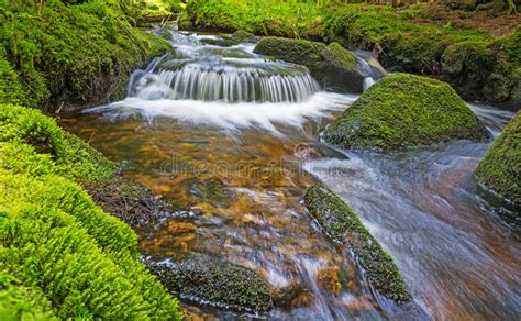 Brook In Forest Stock Photo Image Of Rock River Cascade 56096166