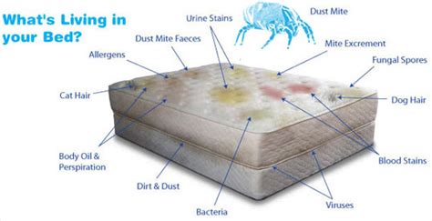 is sleeping on a mattress on the floor bad here are 5 pros and cons the sleep advisor