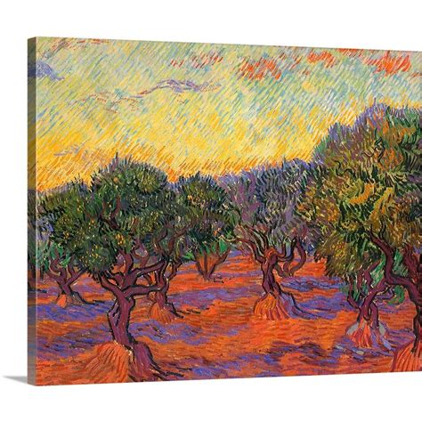 Greatbigcanvas Grove Of Olive Trees By Vincent Van Gogh Canvas Wall