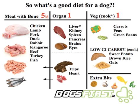 How Much Raw Liver Should I Feed My Dog