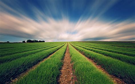Details 300 Agriculture Background Images Hd Abzlocalmx