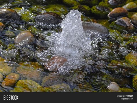 Water Source Spring Image And Photo Free Trial Bigstock