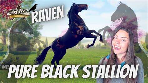Raven A Pure Black Stallion From Netflixs Free Rein Rival Stars
