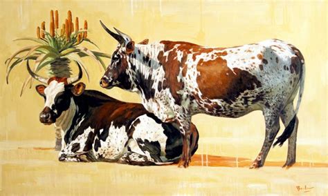 Red Earth Oil On Canvas 60cm X 100cm Nguni Cows Cattle Paintings