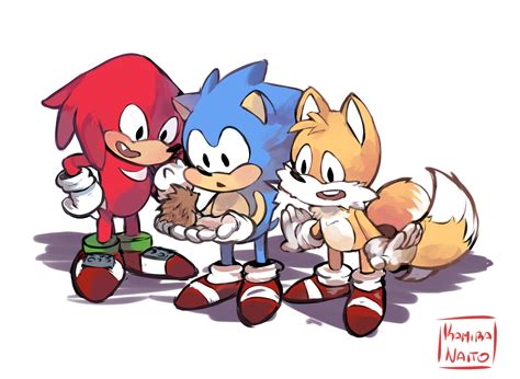 Sonictailsknuckles And Hedgehog Kamira Naito