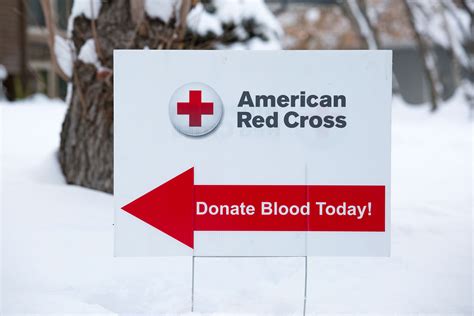 Donate Blood To Help Save Lives The Globe