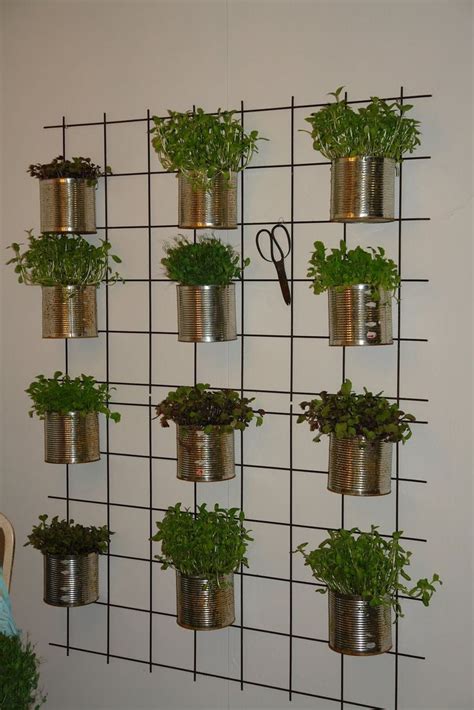 39 Best Herb Wall Images On Pinterest