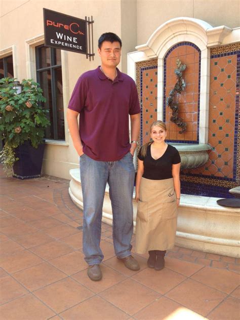 Pewdiepie's fandom has been speculating how tall he is according to fans who have met him in real life and try and find felix's actual. Reminders that Yao Ming is really really tall - Ballislife.com