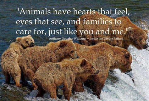 Quotes About Animal Care 43 Quotes