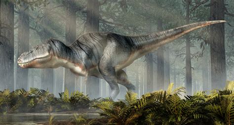 Tyrannosaurus Rex In A Forest Stock Photo Download Image Now Istock