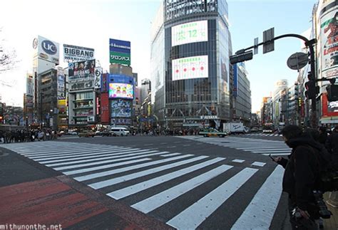 Shibuya Crossing Mithun On The Net