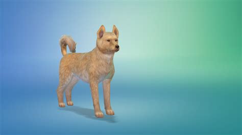 Bowlofpixels The Sims 4 Cap Dog Breeds And Presets Canaan