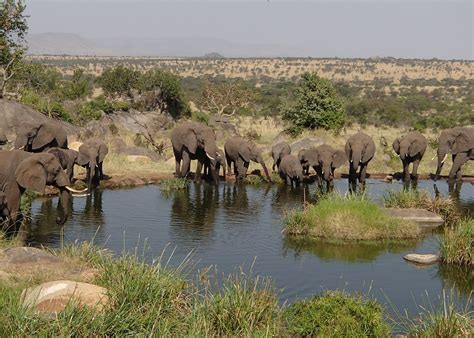 Visit Serengeti National Park Tanzania Audley Travel Us