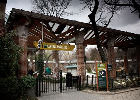 Spend A Day Full Of Joy At Central Park Zoo New York