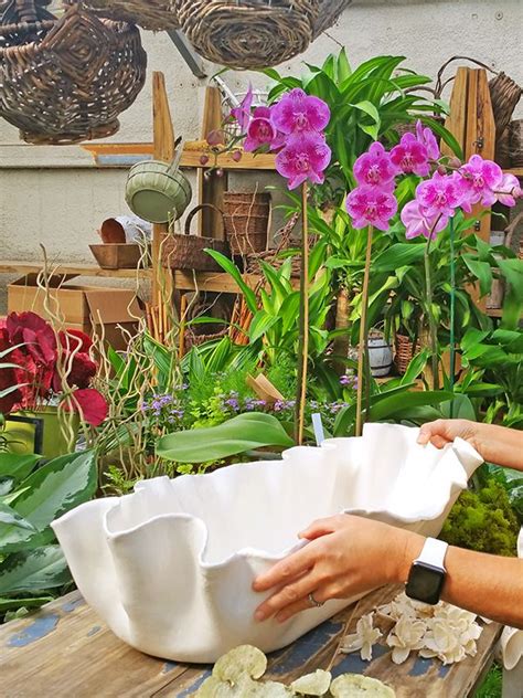 A Gardener S Secrets To Diy Planters Orchid Planter Ideas Diy Diy Planters Orchids