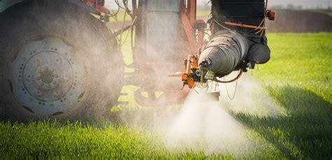 Study Shows High Pesticide Exposure Linked To Poor Sense Of Smell Among