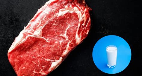 Cómo ablandar la carne usando leche Trucos caseros RESPUESTAS MAG