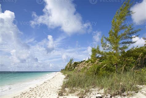 Grand Bahama Island Coral Beach 20340899 Stock Photo At Vecteezy