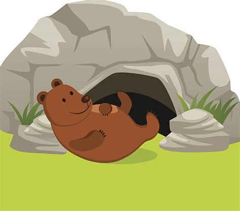 Bear Cave Illustrations Royalty Free Vector Graphics And Clip Art Istock