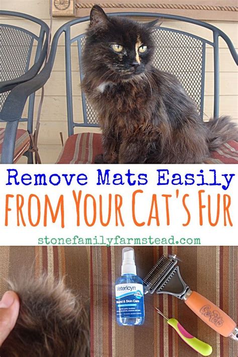 Brush your cat's fur frequently. Remove Mats Easily from Your Cat's Fur - Stone Family ...
