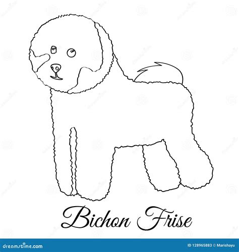 Bichon Frise Dog Coloring Stock Vector Illustration Of Group 128965883