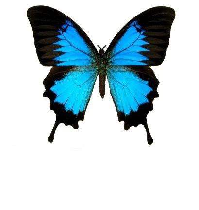 Ottawa yoga, health and wellness. Enchanting Images Day Spa | Oshawa Spas | ClickaSpa