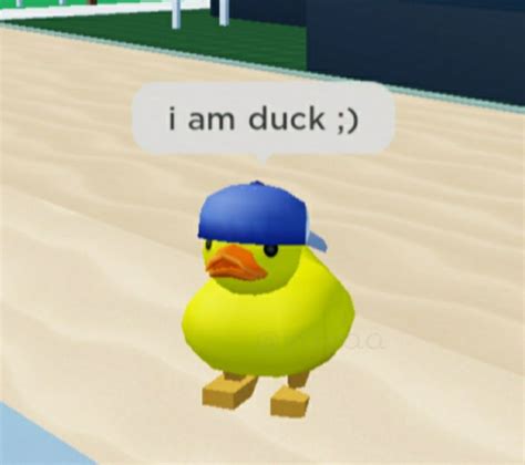 I Am Duck Roblox Funny Roblox Memes Duck Memes