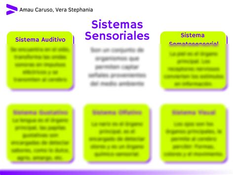 Solution Sistemas Sensoriales Mapa Conceptual Studypool