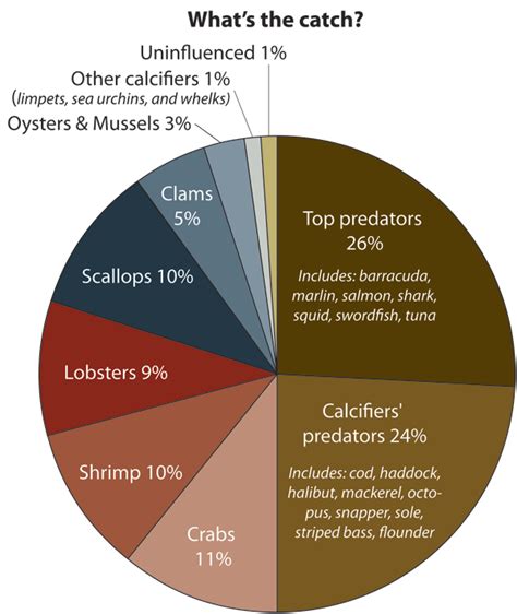 What Will Be The Cost Of Oceans Increasing Acidification