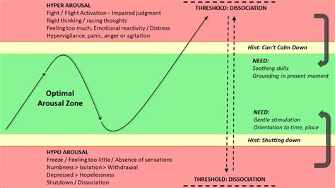 Emotion Regulation 101 Your Window Of Tolerance