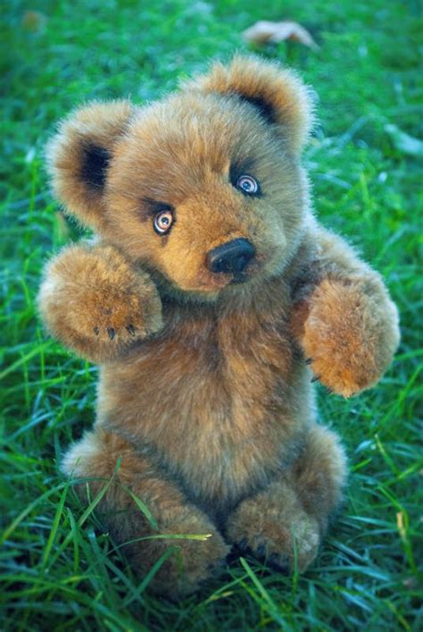 Realistic Brown Teddy Bear By Maria Trotsenko Handmade Teddy Bears For Sale On Tedsby