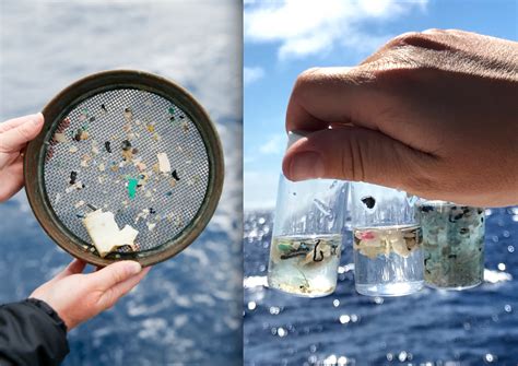 How Do Plastics Get To The Bottom Of The Sea — Whyy