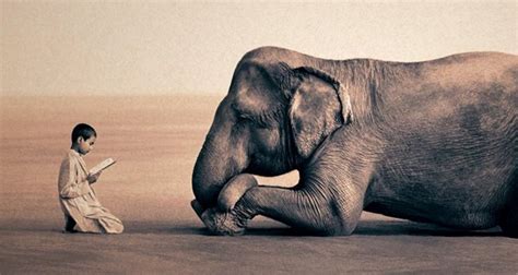 Teaching Yoga To An Elephant ~ Gabrielle Harris Elephant Journal